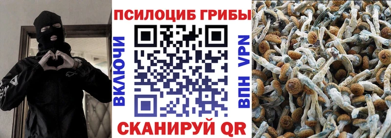 hydra зеркало  Ногинск  Галлюциногенные грибы Magic Shrooms 
